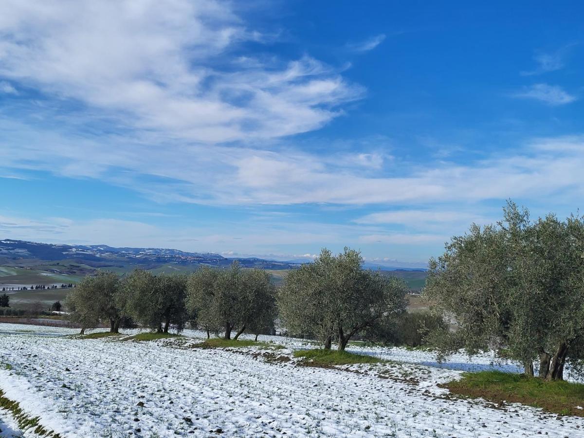 Casa Per L'Osticcio Vista Sulla Val D'Orcia Apartment Montalcino Exterior photo